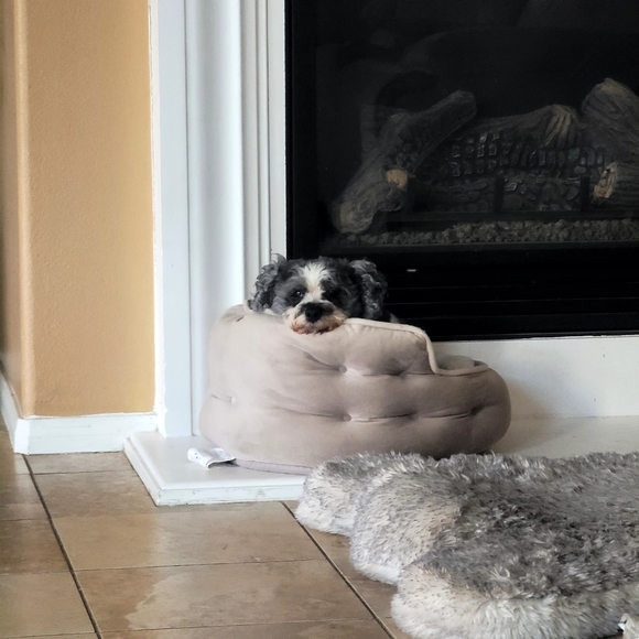 Welcome to my Closet! 💐 - Picture 9 of 14